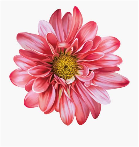 flower clipart realistic|fresh flowers clip art.